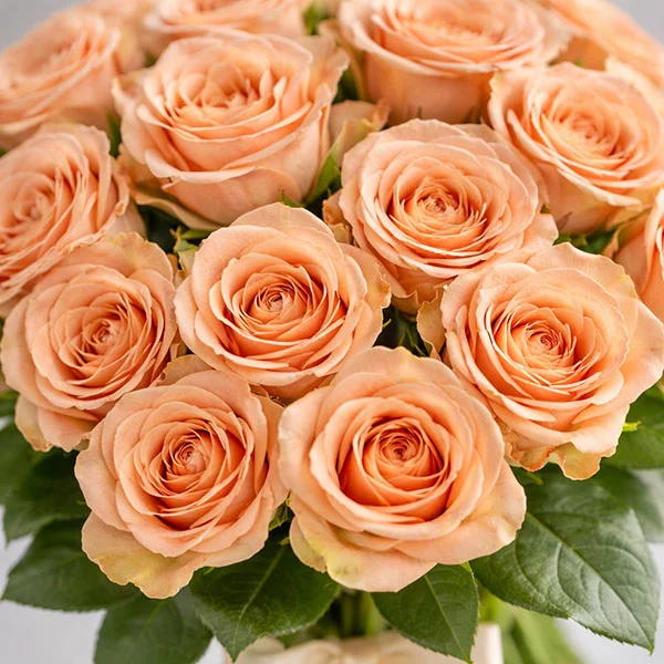 Букет кремовых роз "Капучино"